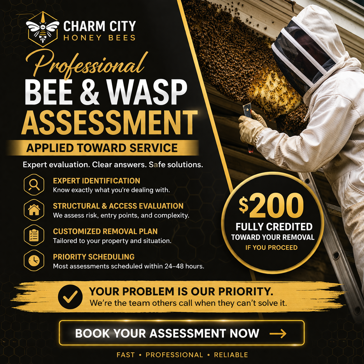 Professional Bee & Wasp Assessment (Applied Toward Service)