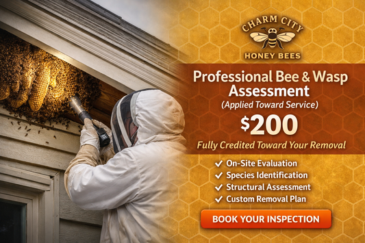Professional Bee & Wasp Assessment (Applied Toward Service)